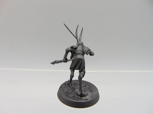 Magister