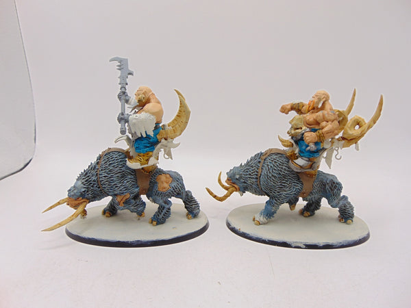 Mournfang Cavalry Pack