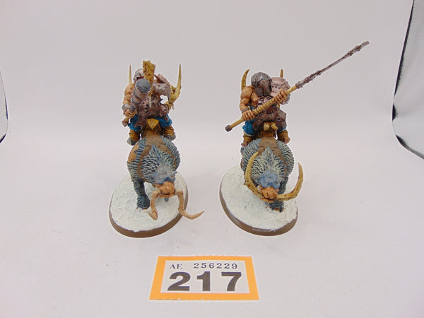 Mournfang Cavalry
