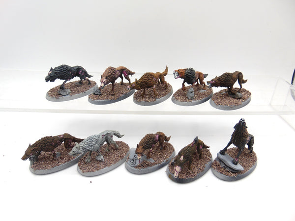 Dire Wolves