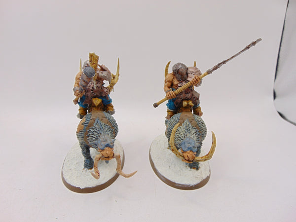 Mournfang Cavalry