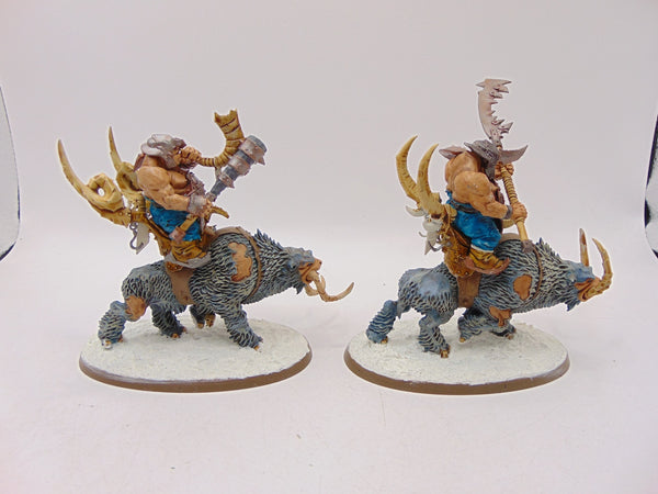 Mournfang Cavalry