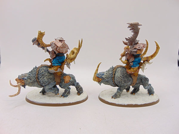 Mournfang Cavalry