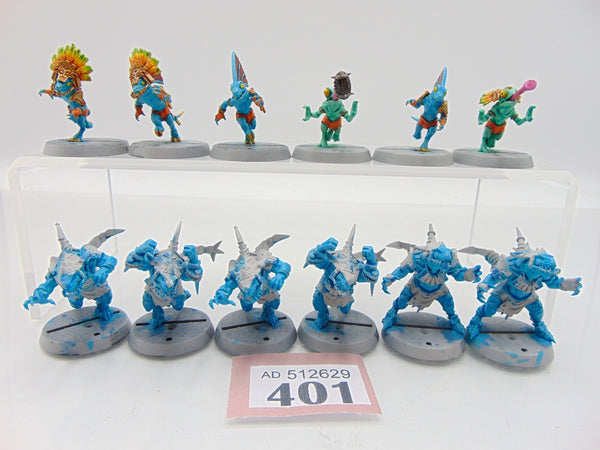 Lizardmen Blood Bowl Team – Gwaka'moli Crater Gators