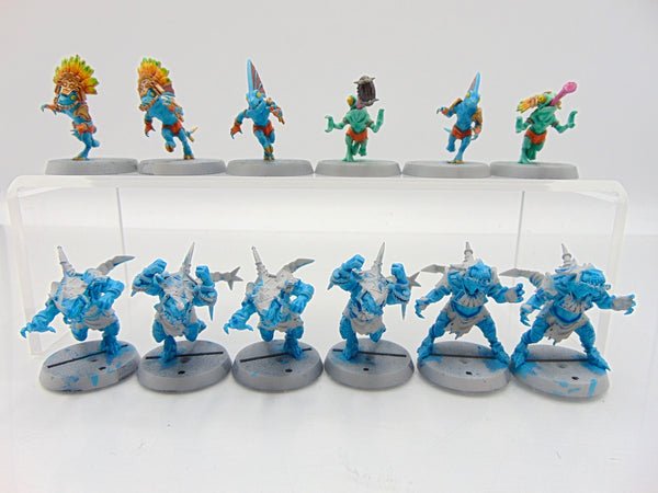 Lizardmen Blood Bowl Team – Gwaka'moli Crater Gators