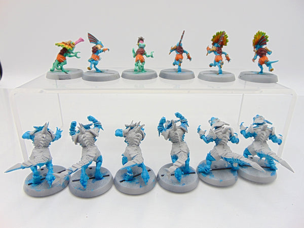 Lizardmen Blood Bowl Team – Gwaka'moli Crater Gators