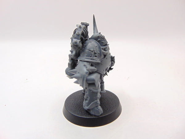 Plague Marine Champion