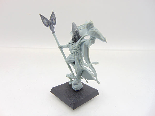 High Elf Mage Conversion