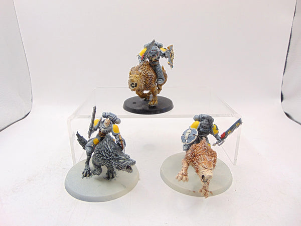 Thunderwolf Cavalry