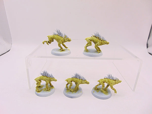 Kroot Hounds