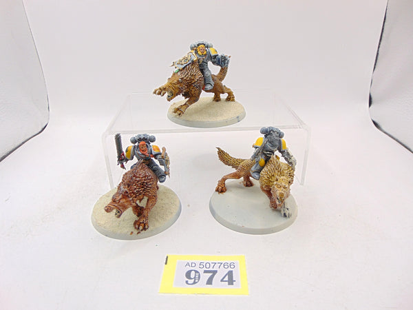 Thunderwolf Cavalry