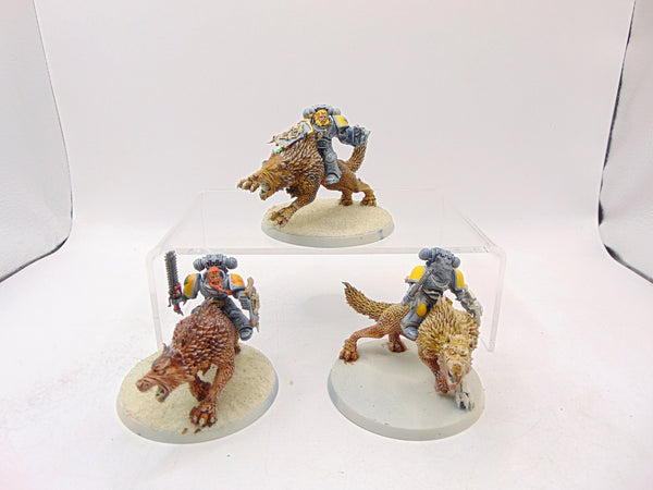 Thunderwolf Cavalry