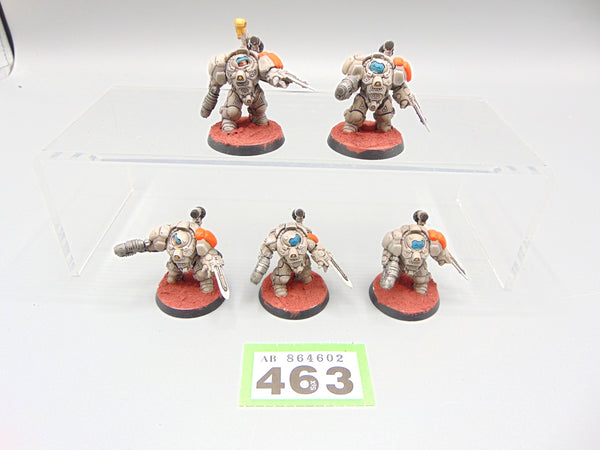 Einhyr Hearthguard