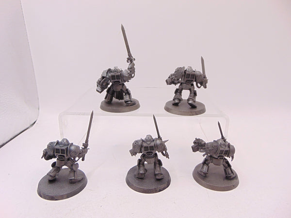 Brotherhood Terminator Squad