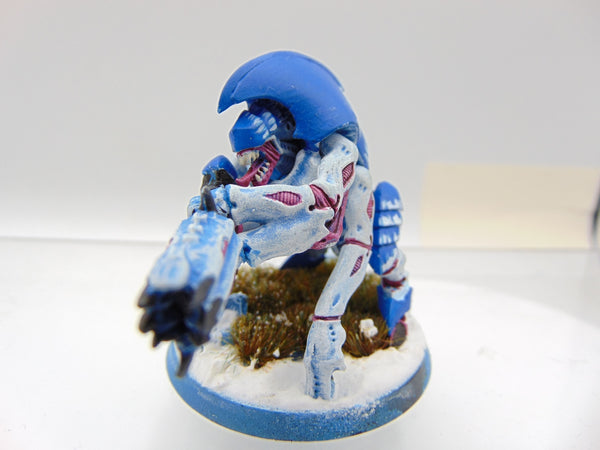 Hive Guard