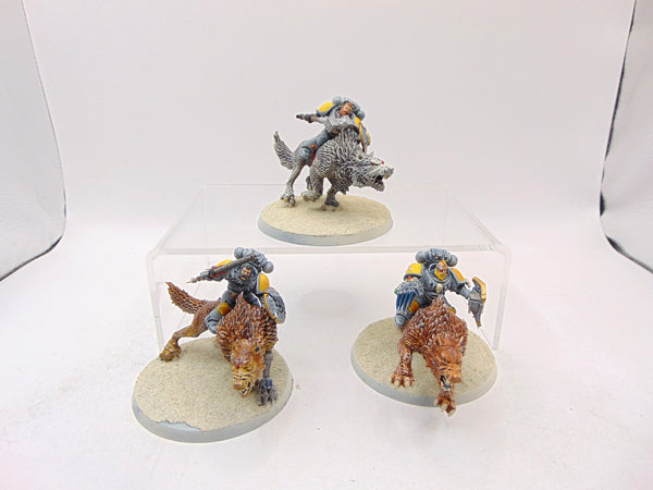 Thunderwolf Cavalry