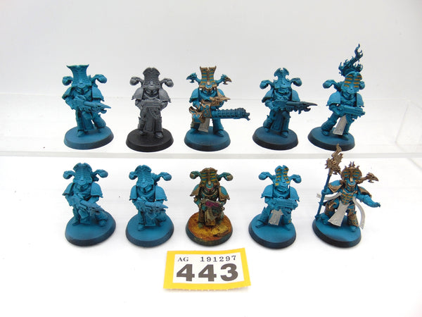 Rubric Marines