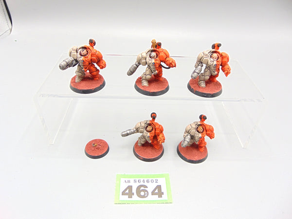 Einhyr Hearthguard