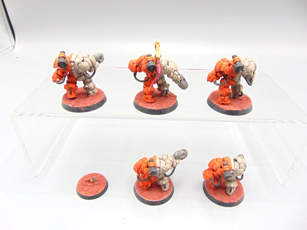 Einhyr Hearthguard