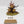 Feculent Gnarlmaw