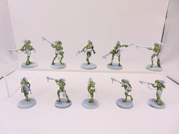 Kroot Carnivores