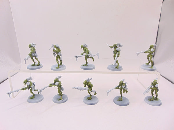 Kroot Carnivores