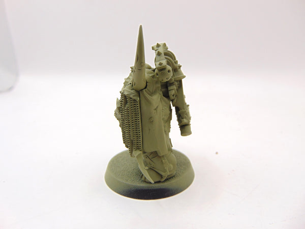 Plague Marine Champion