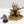 Feculent Gnarlmaw