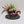Maleceptor
