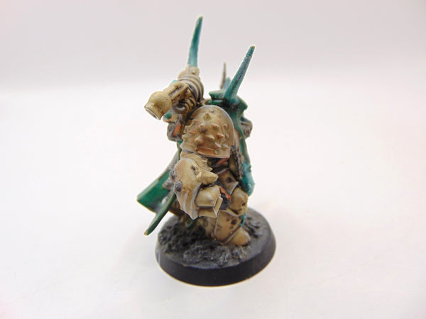 Plague Marine Champion