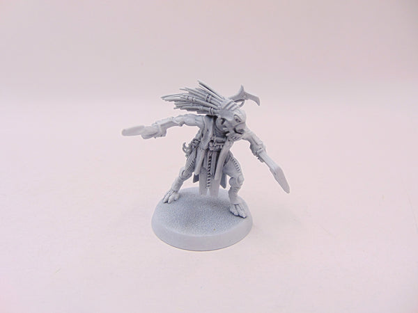 Kroot Flesh Shaper