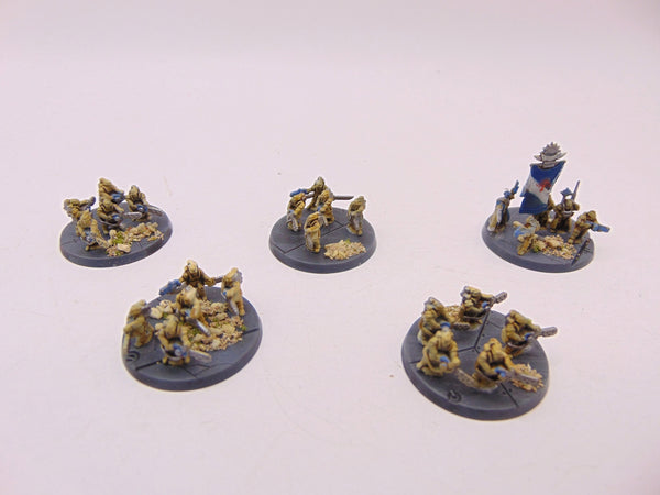 Legions Imperialis: Auxilia