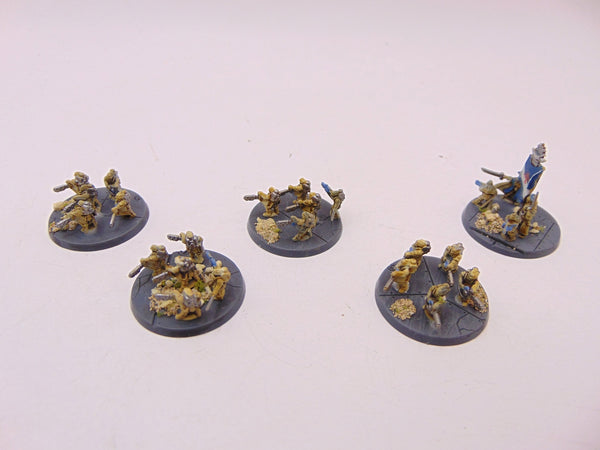 Legions Imperialis: Auxilia