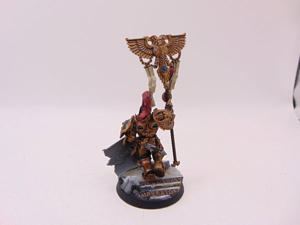 Custodian Guard with Vexilla