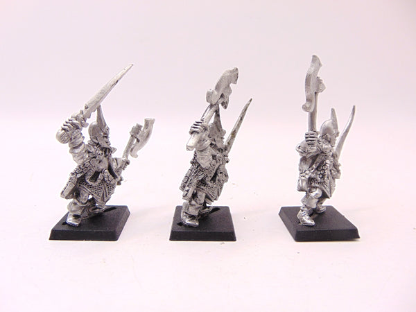 Dark Elf Corsairs