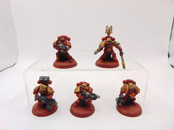 Sternguard Veterans