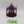 Maleceptor