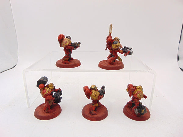 Sternguard Veterans