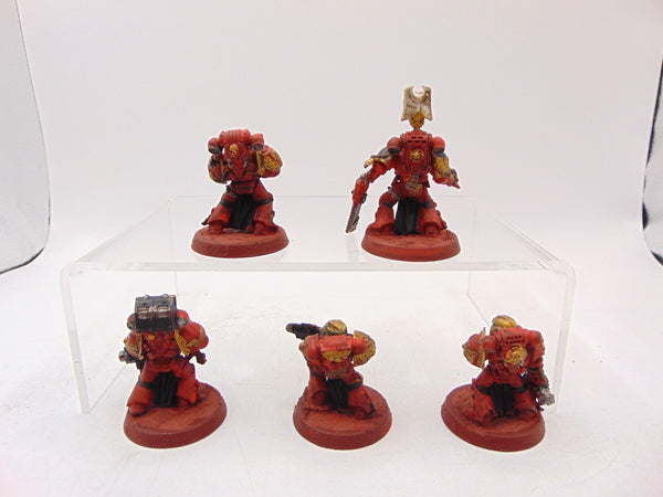 Sternguard Veterans