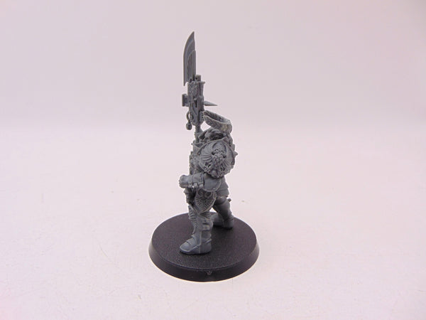 Shield Captain Valerian