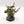 Plague Marine Champion