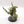 Plague Marine Champion