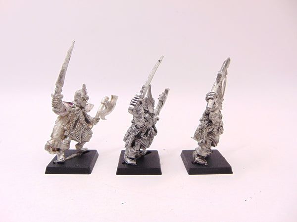 Dark Elf Corsairs
