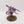 Screamer Killer