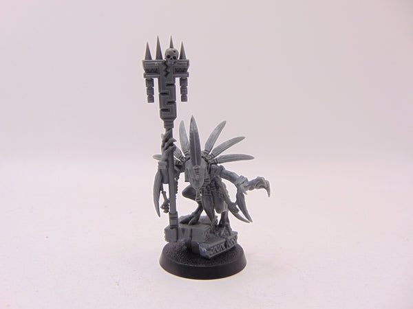 Skink Starpriest