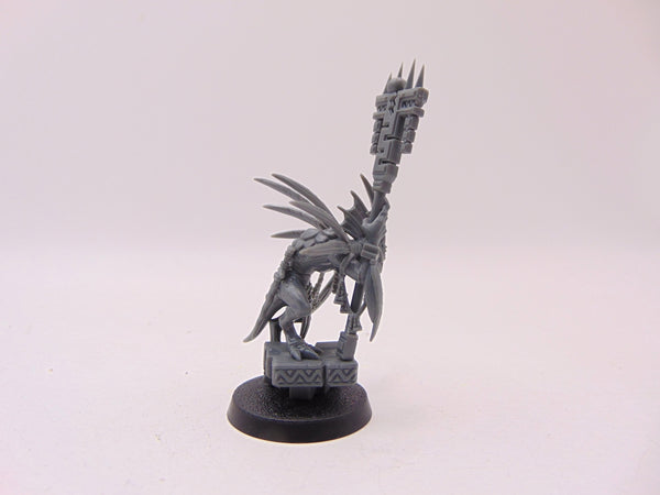 Skink Starpriest