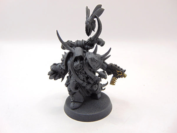 Plague Marine Champion