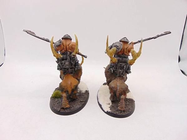 Mournfang Cavalry pack