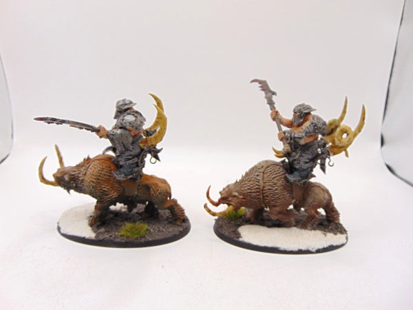 Mournfang Cavalry pack