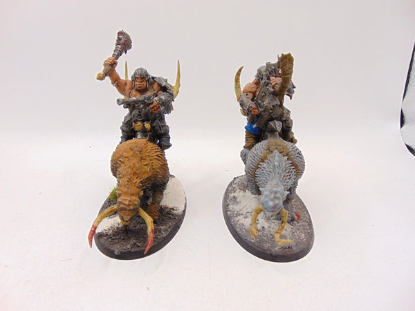 Mournfang Cavalry Pack